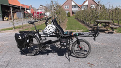 Pino auf dem Herzapfelhof