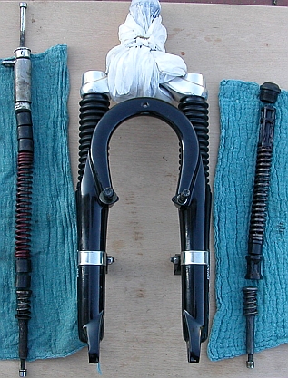 Die Federgabel nach der Demontage der Federelemente: alle Innereien sortiert