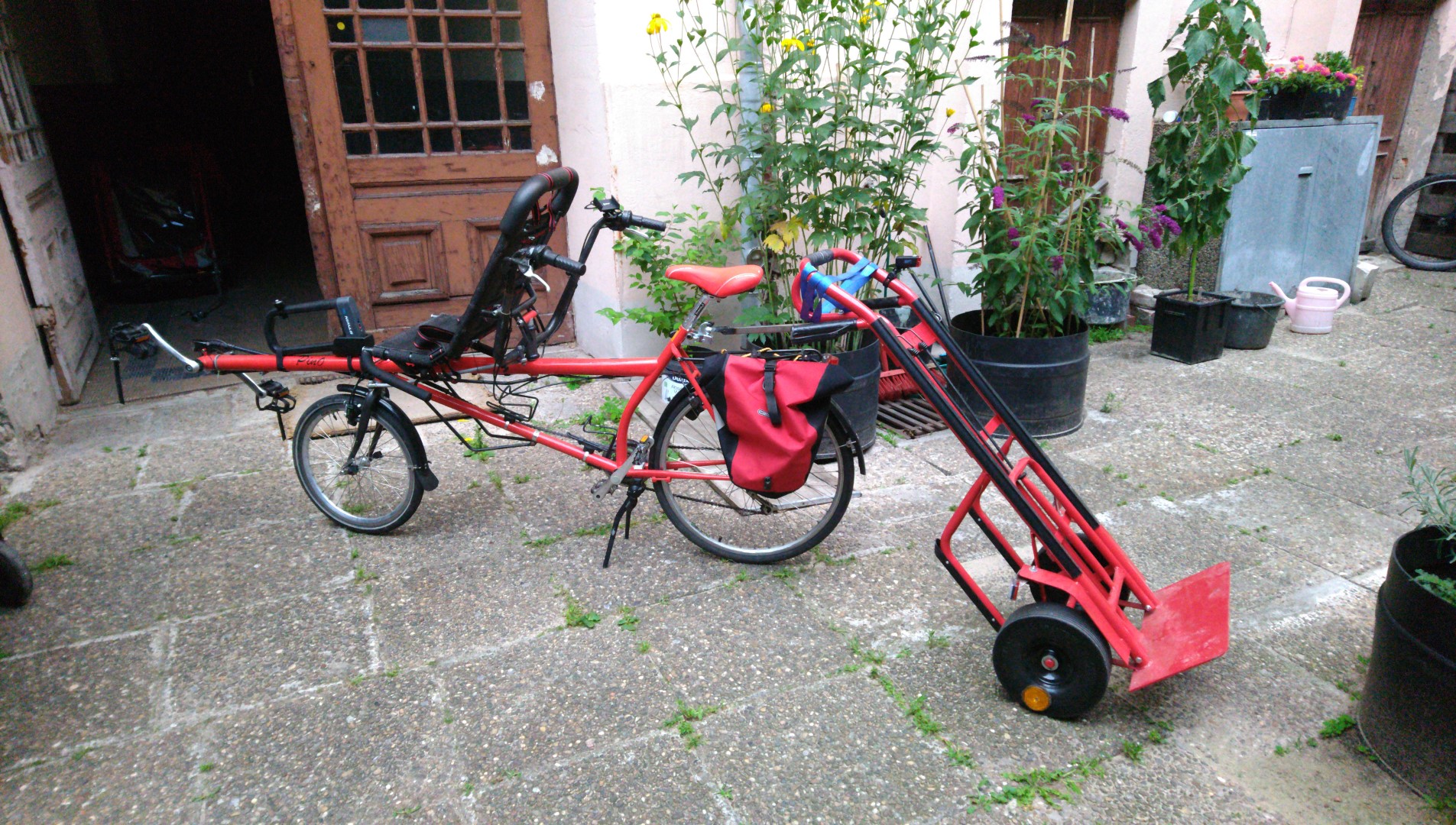 Pino mit &quot;Anhänger&quot;