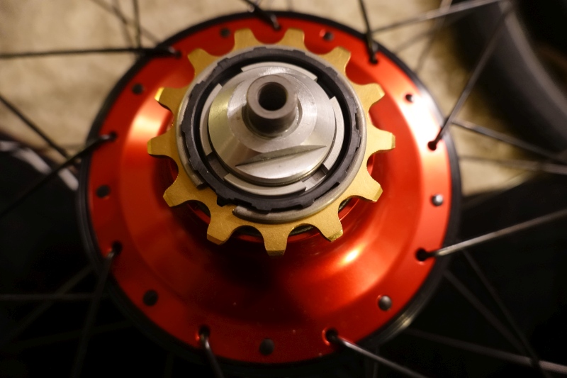 13 Zähne sind eigentlich zu wenig um das Gold zur Geltung zu bringen