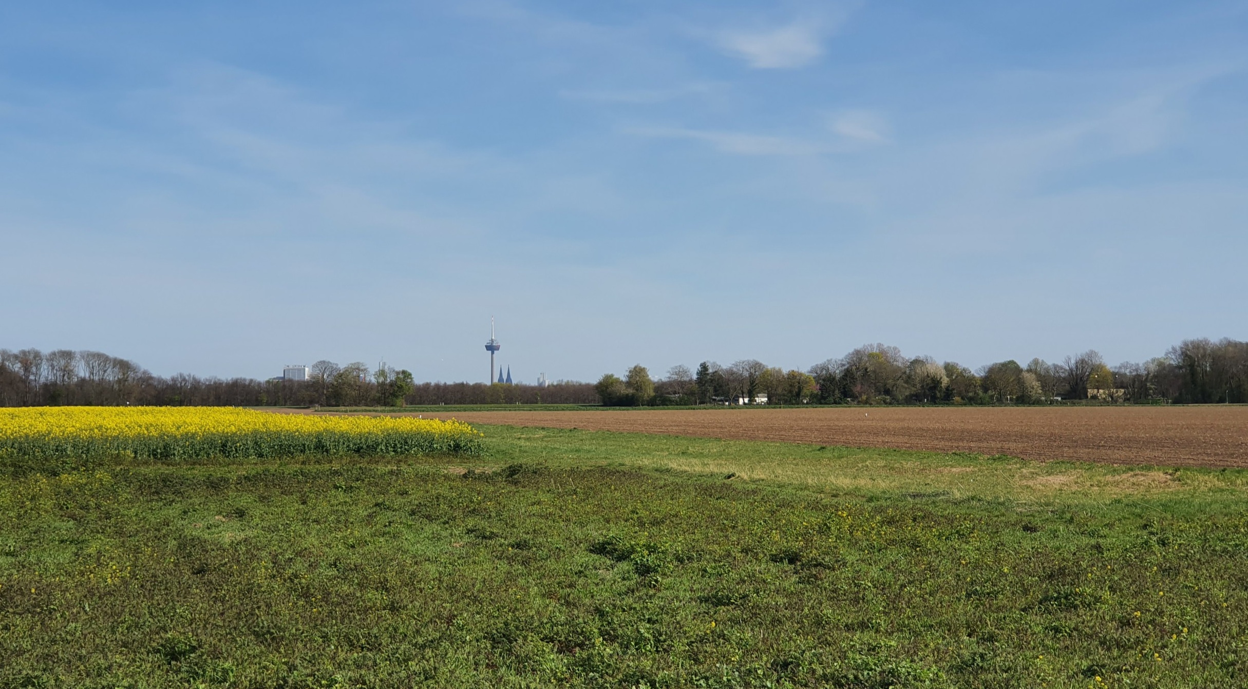 Mit Blick auf den Dom