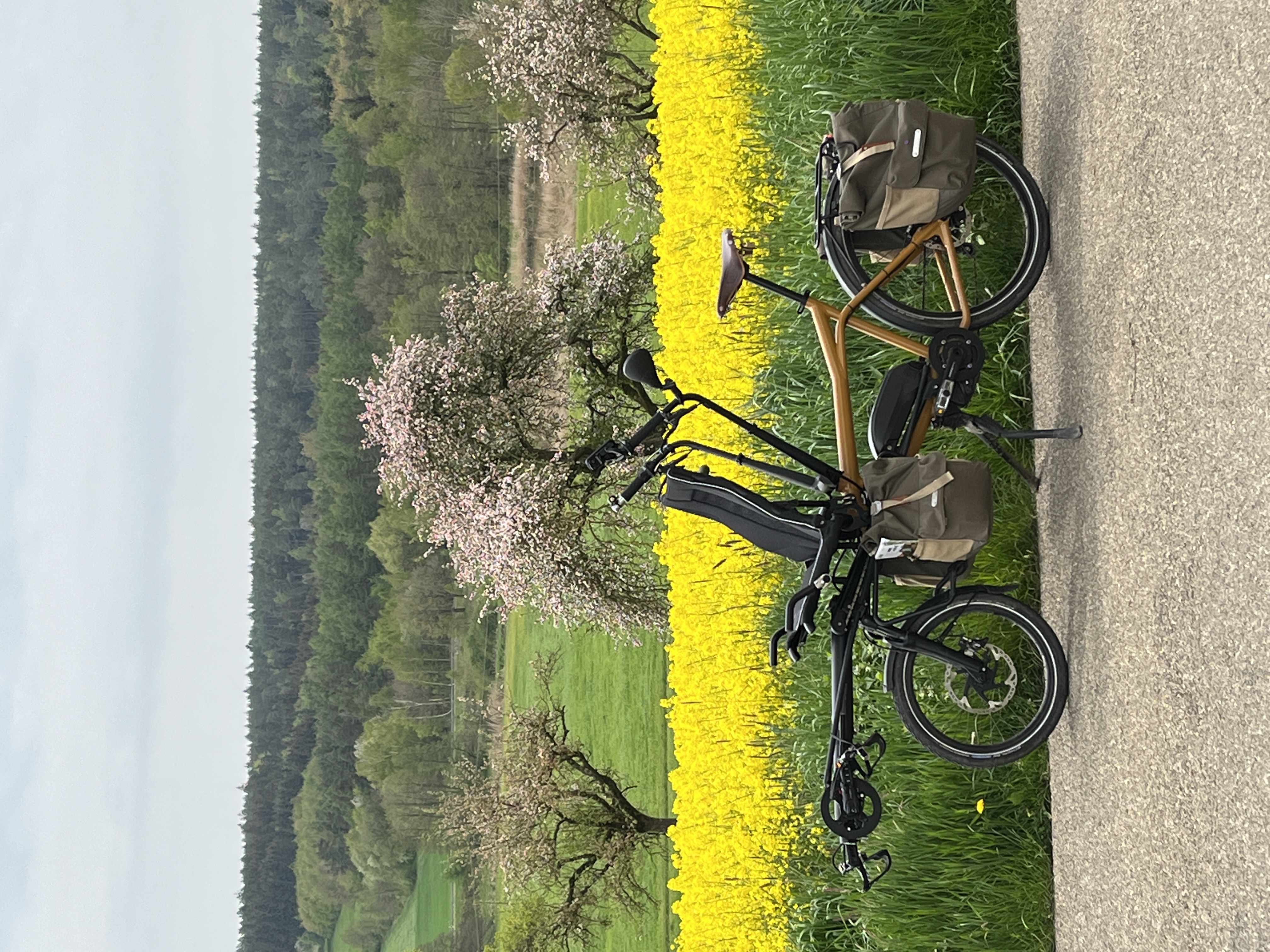 unterwegs auf einem wunderbaren Rad
