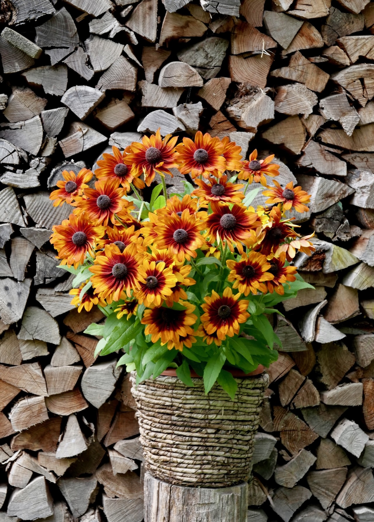 sommerlicher Blumengruß