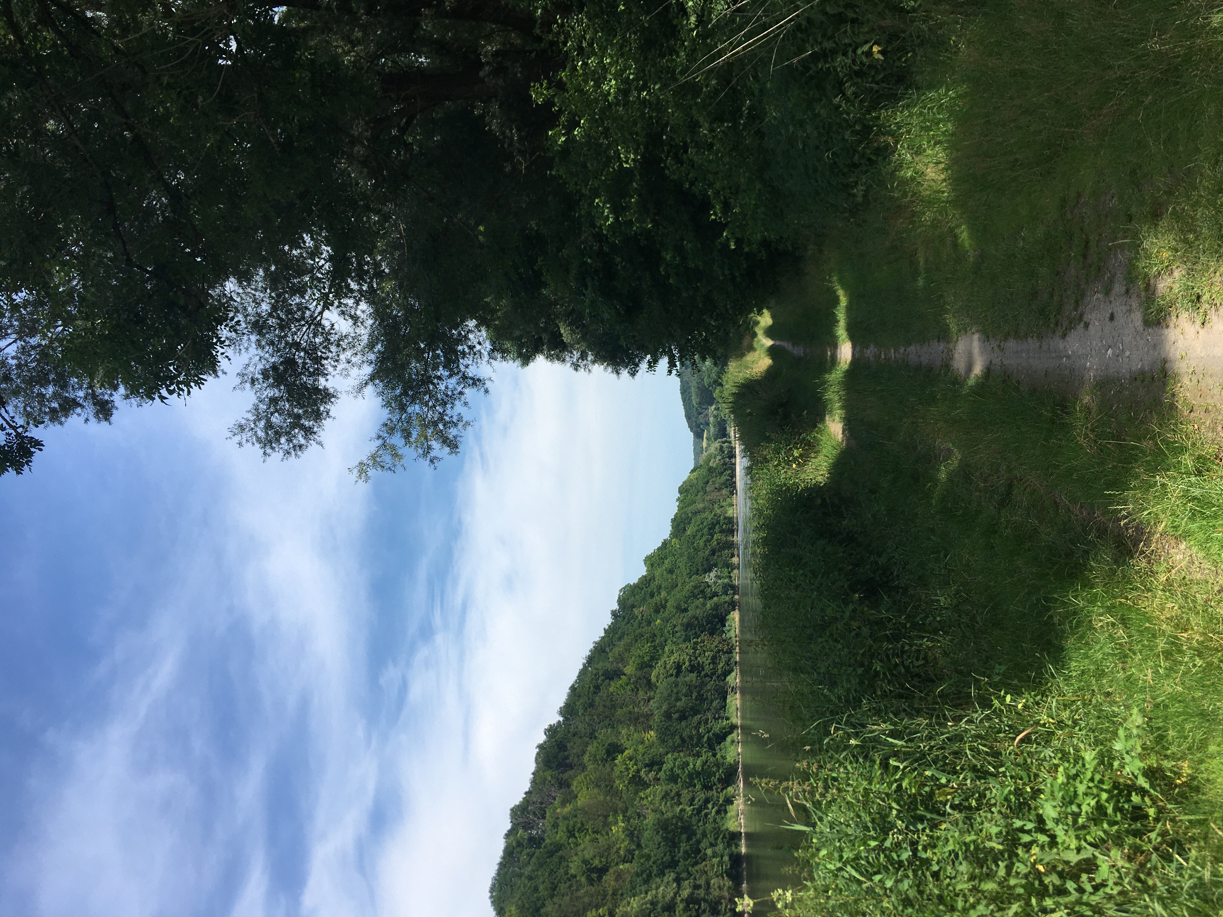 Wunderschöner Uferweg an der Donau