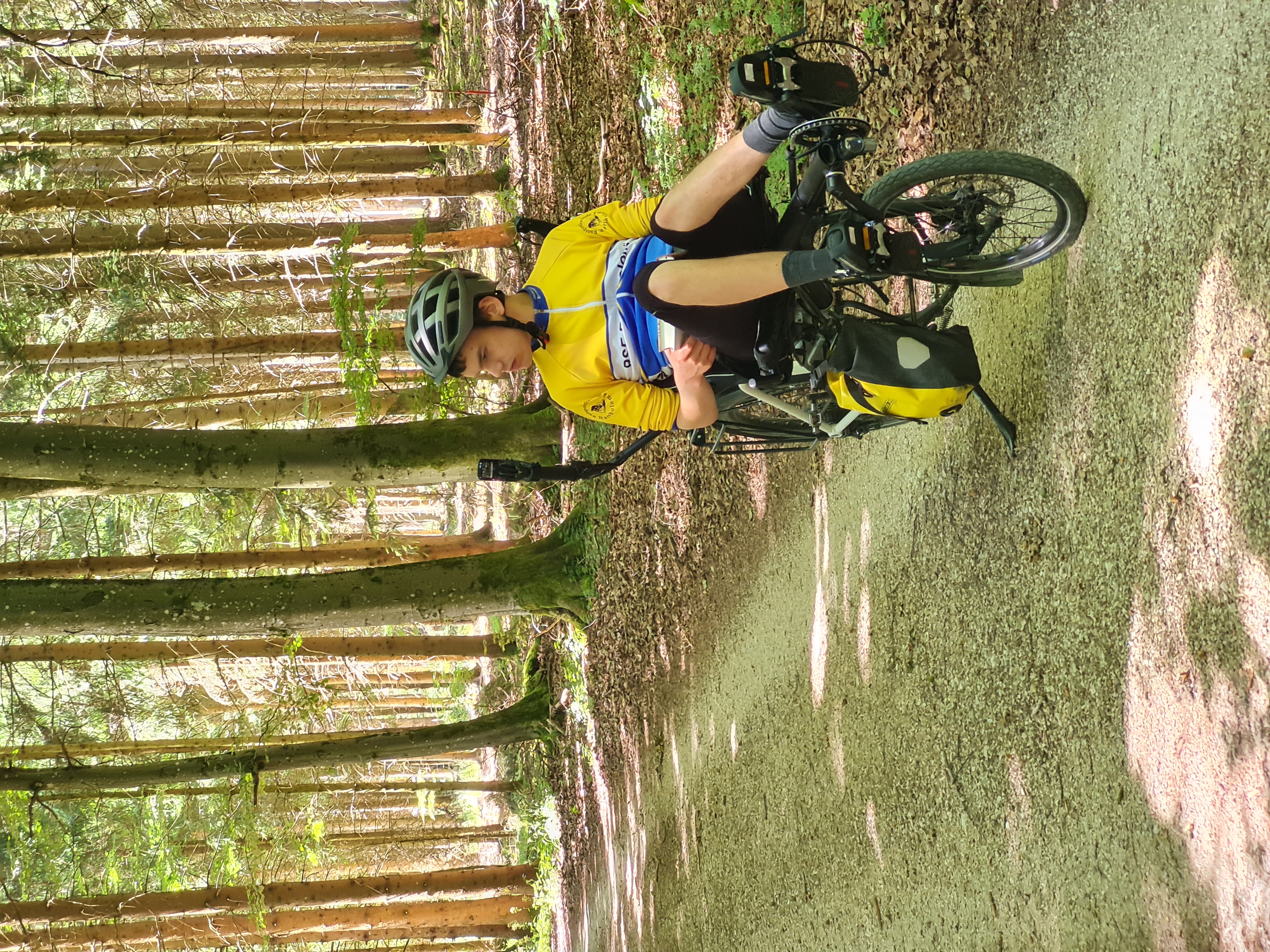 Birkenbuckel im Märchenwald