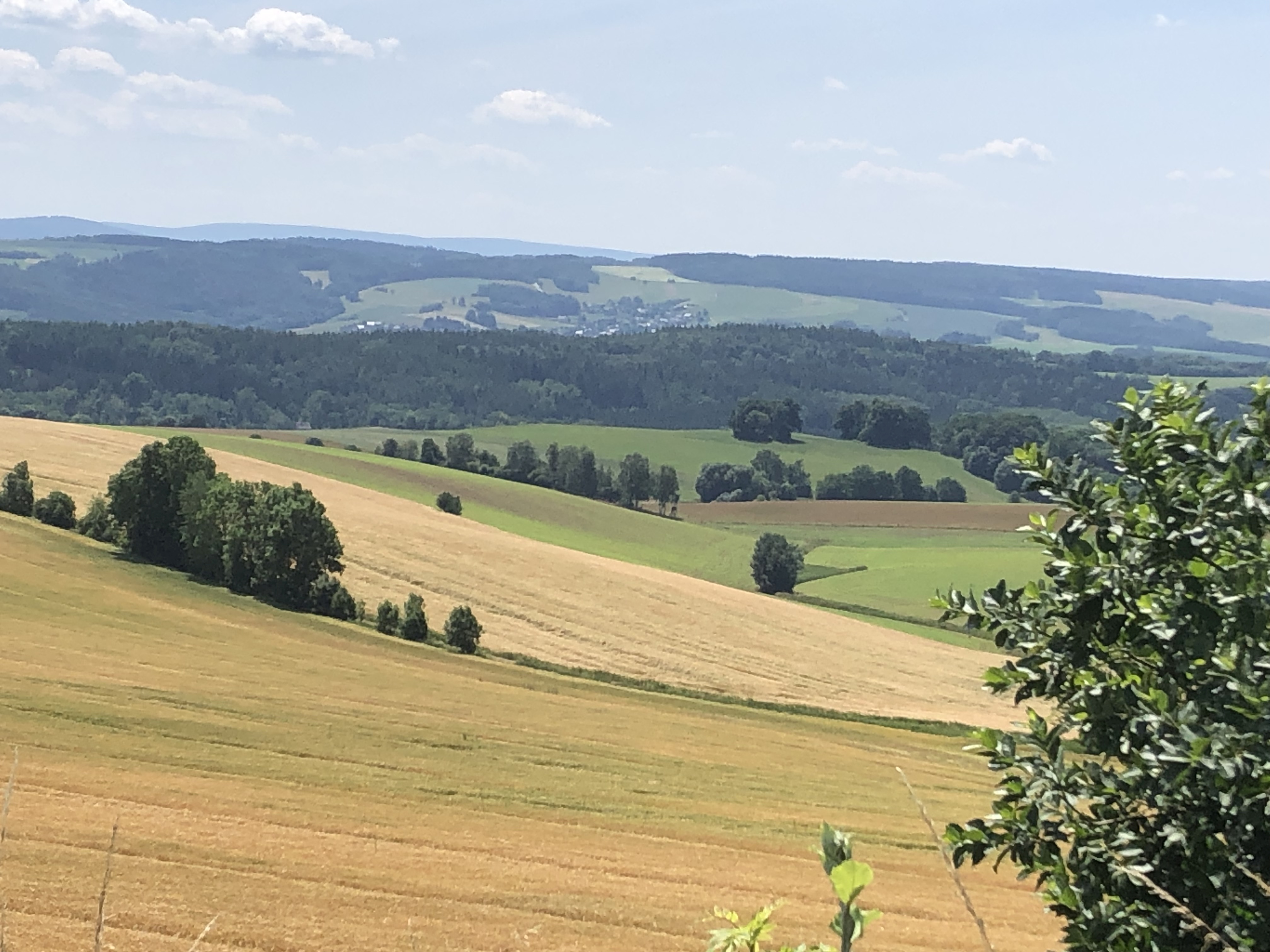 Ausblick Hartenstein-Zschocken