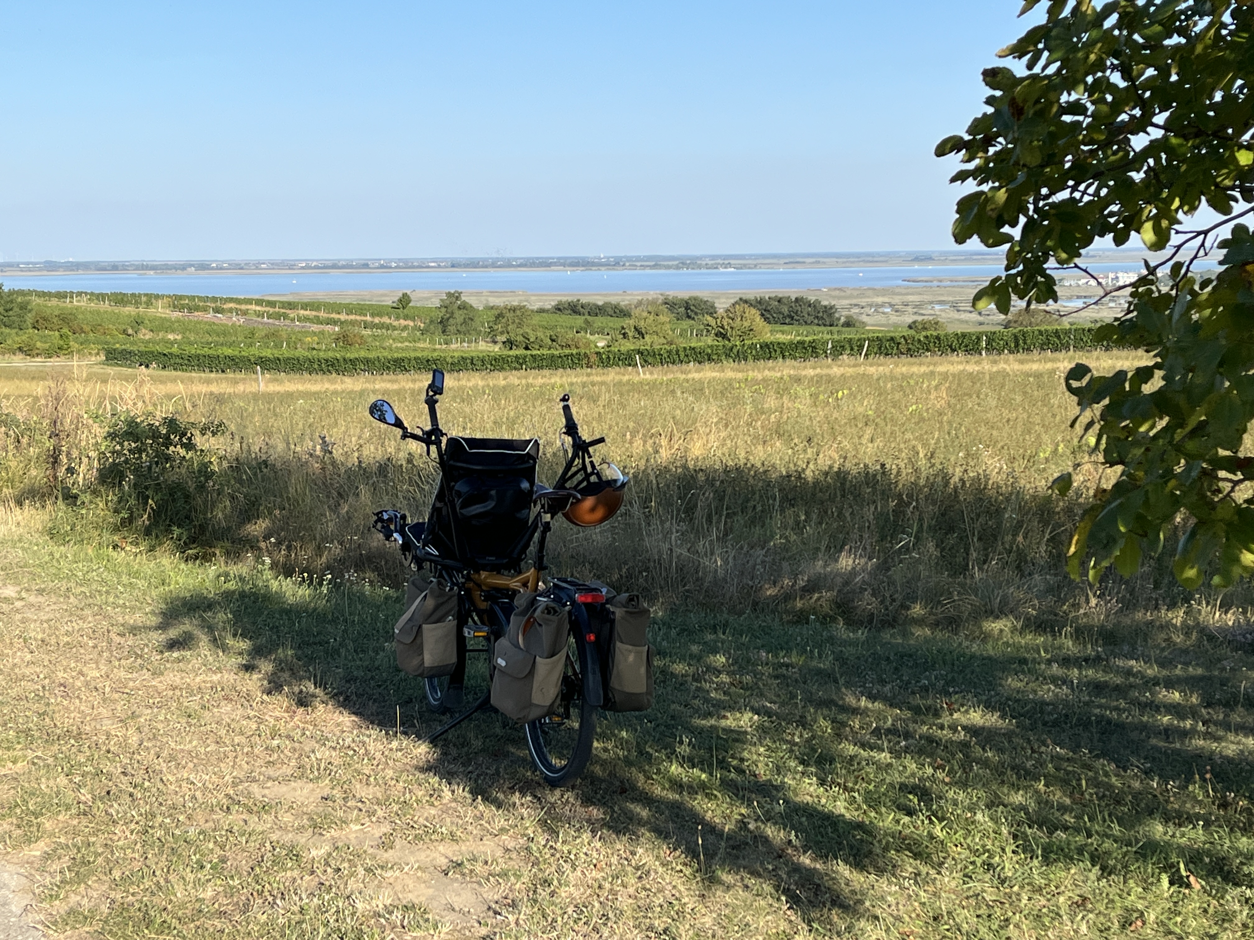 abendlicher Blick über den Neusiedlersee