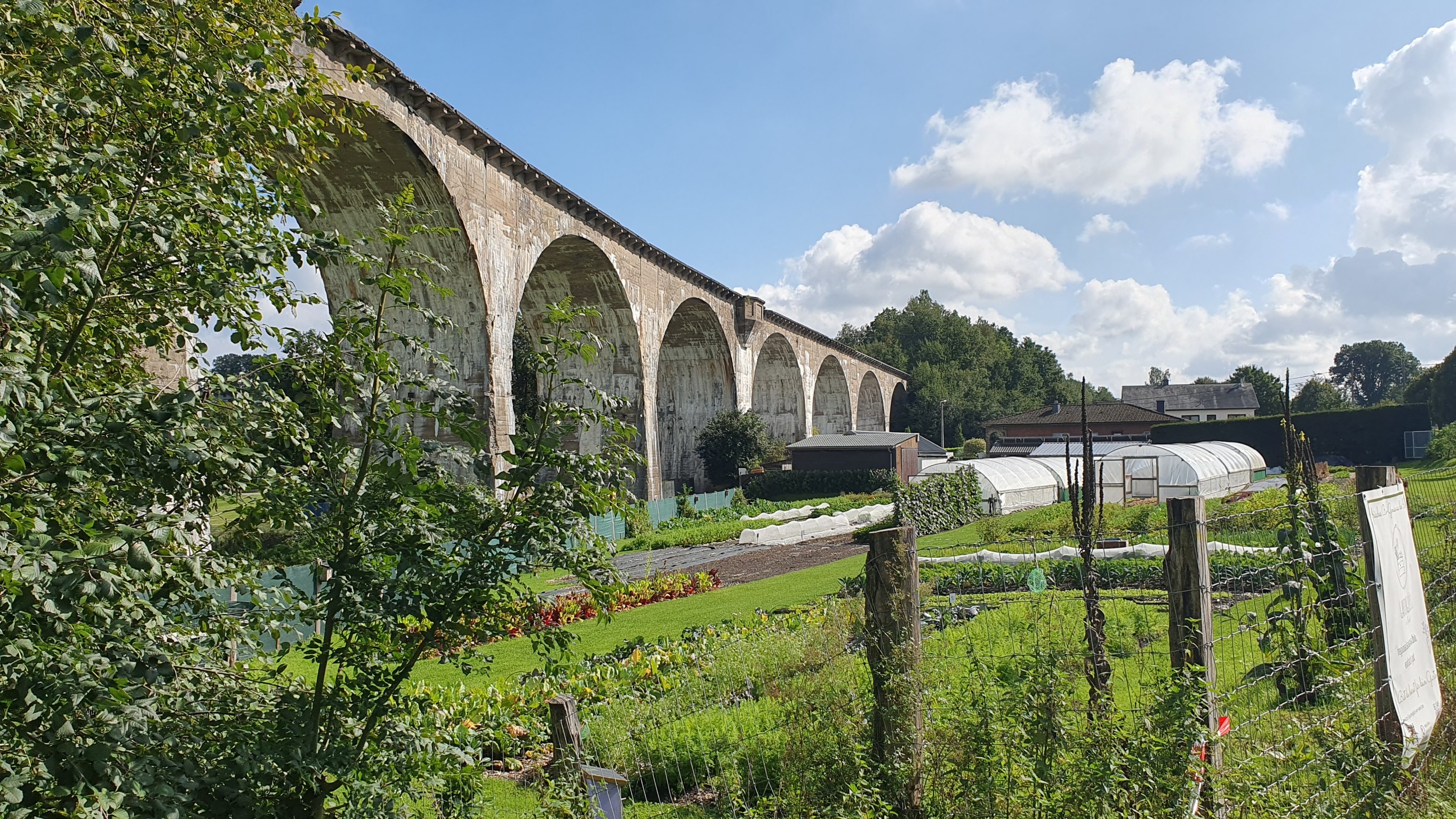 Vennbahn Richtung Bütgenbach