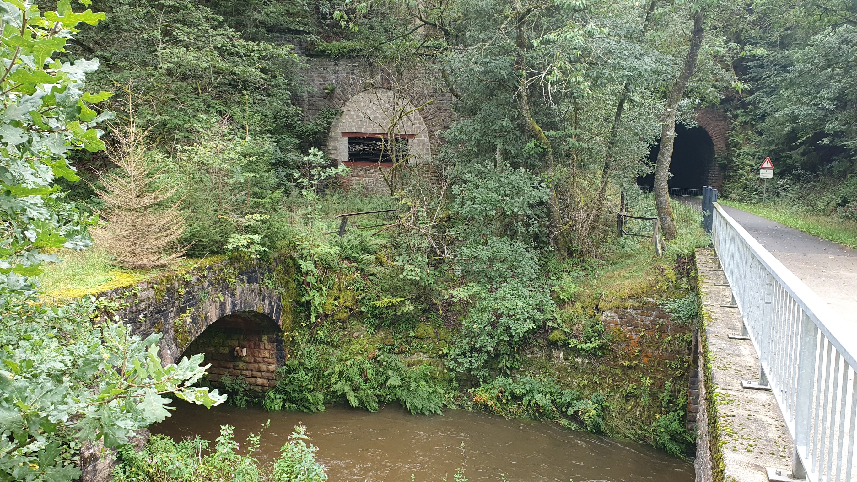 Wieder auf der Vennbahn