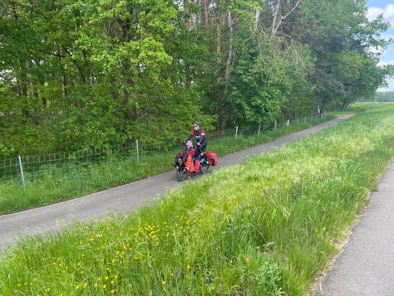 Oderradweg, falsch abgebogen und diesmal war Weg parallel zum Deichweg dummerweise nicht befahrbar