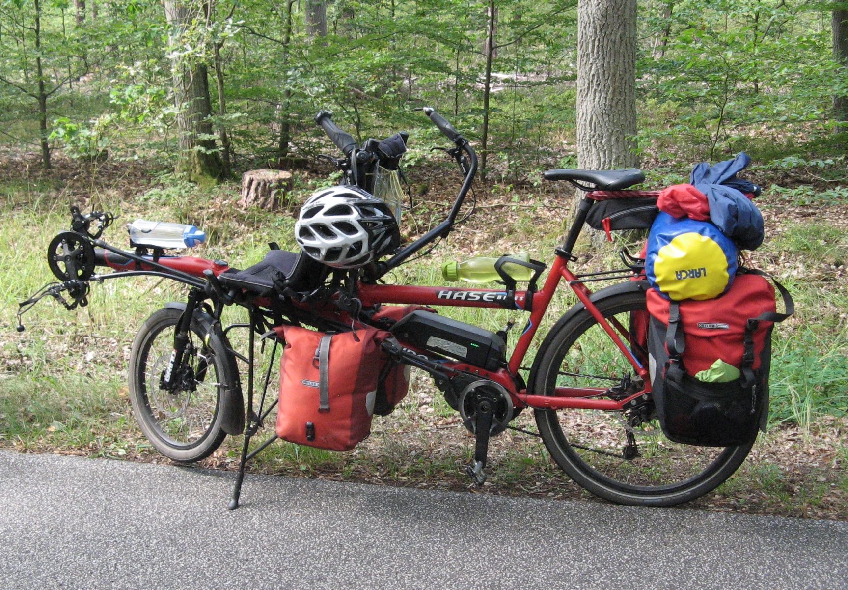 Kein Suchbild: Pino in Brandenburg