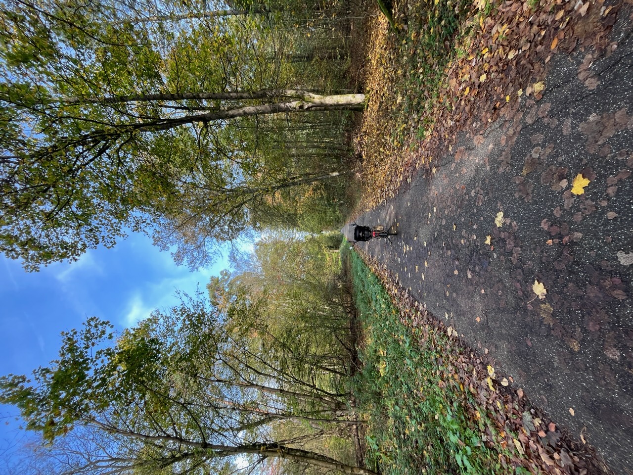 Blick vorwärts nach Norden