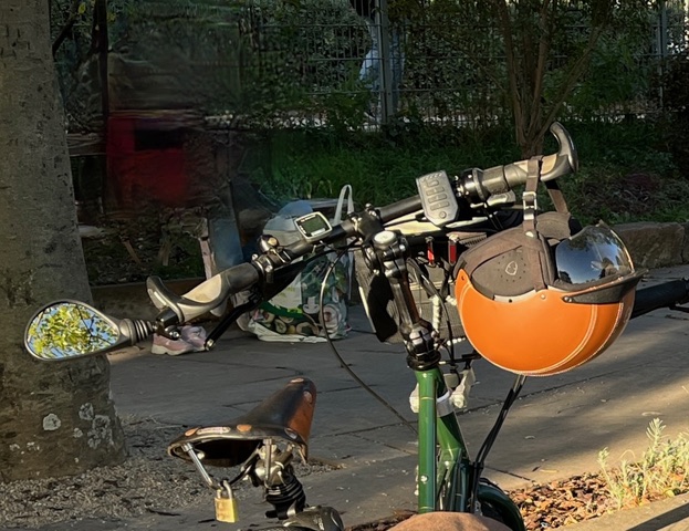 erkennbar: das Winterfutter an dem Ohrschutz