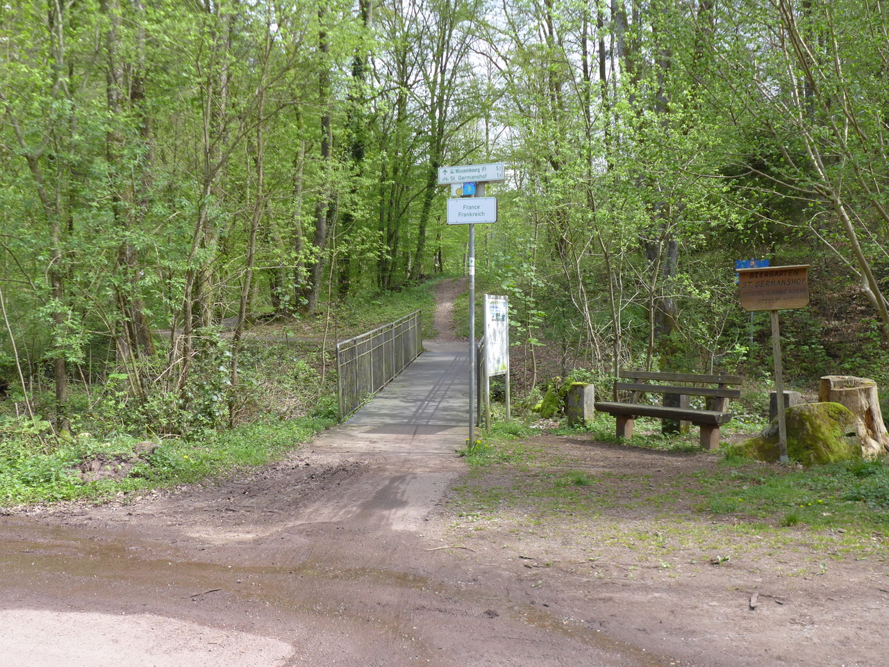 ein Grenzübertritt im Wald