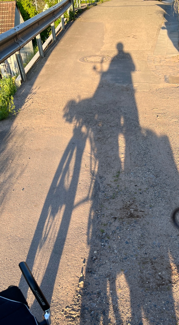 im morgendlichen Sonnenlicht