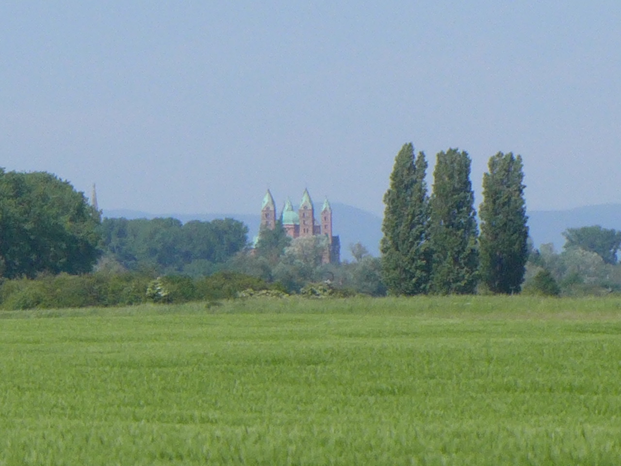 der Dom grüßt über den Rhein