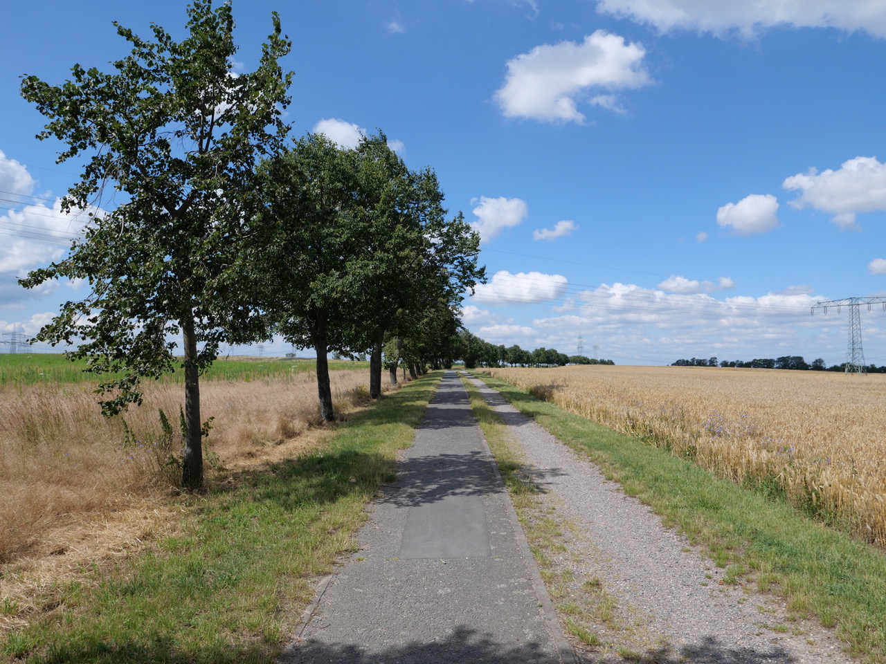 weites Land und guter Radweg