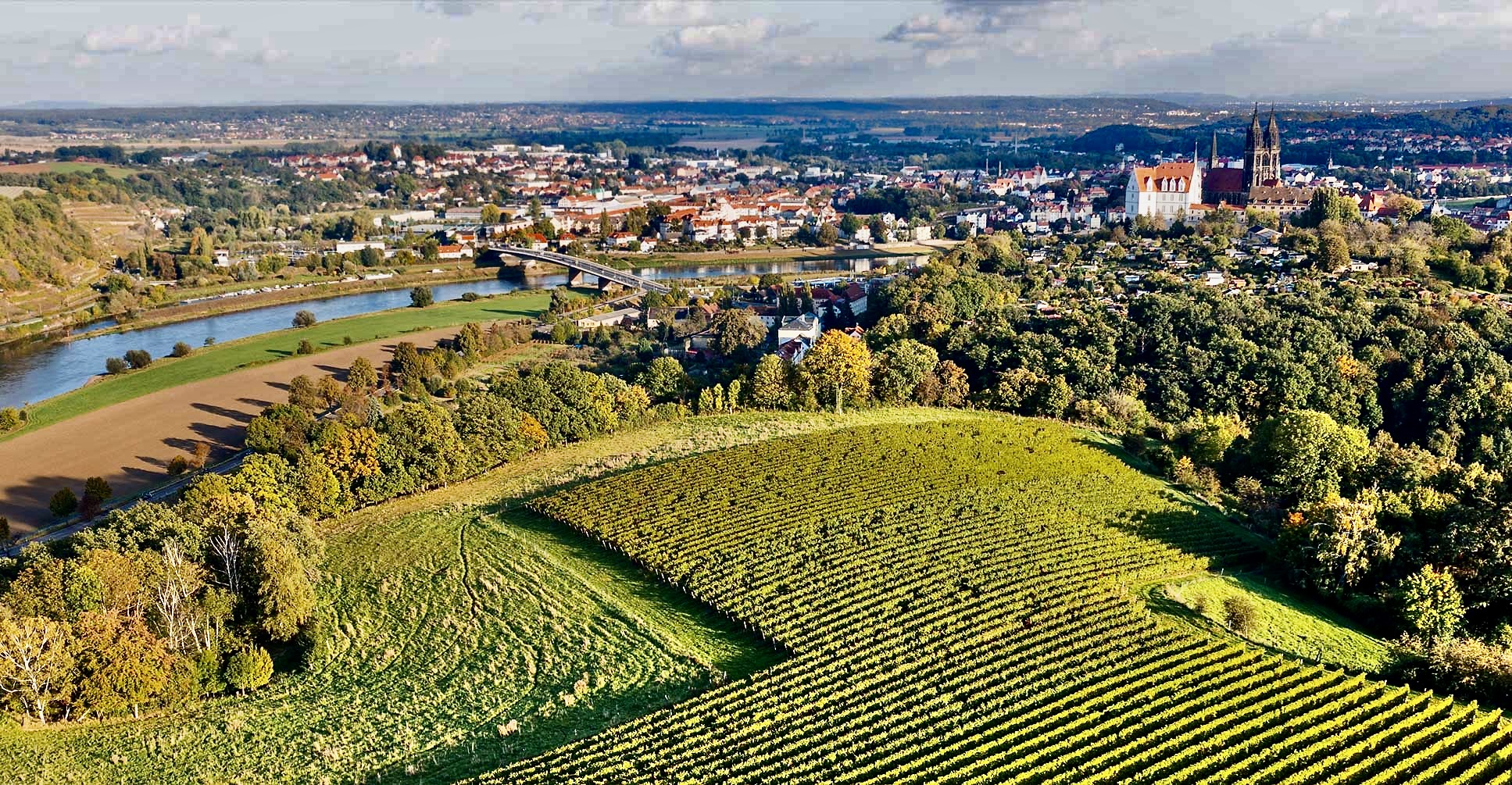 Weinberge des 'Rothen Gutes' in Meißen