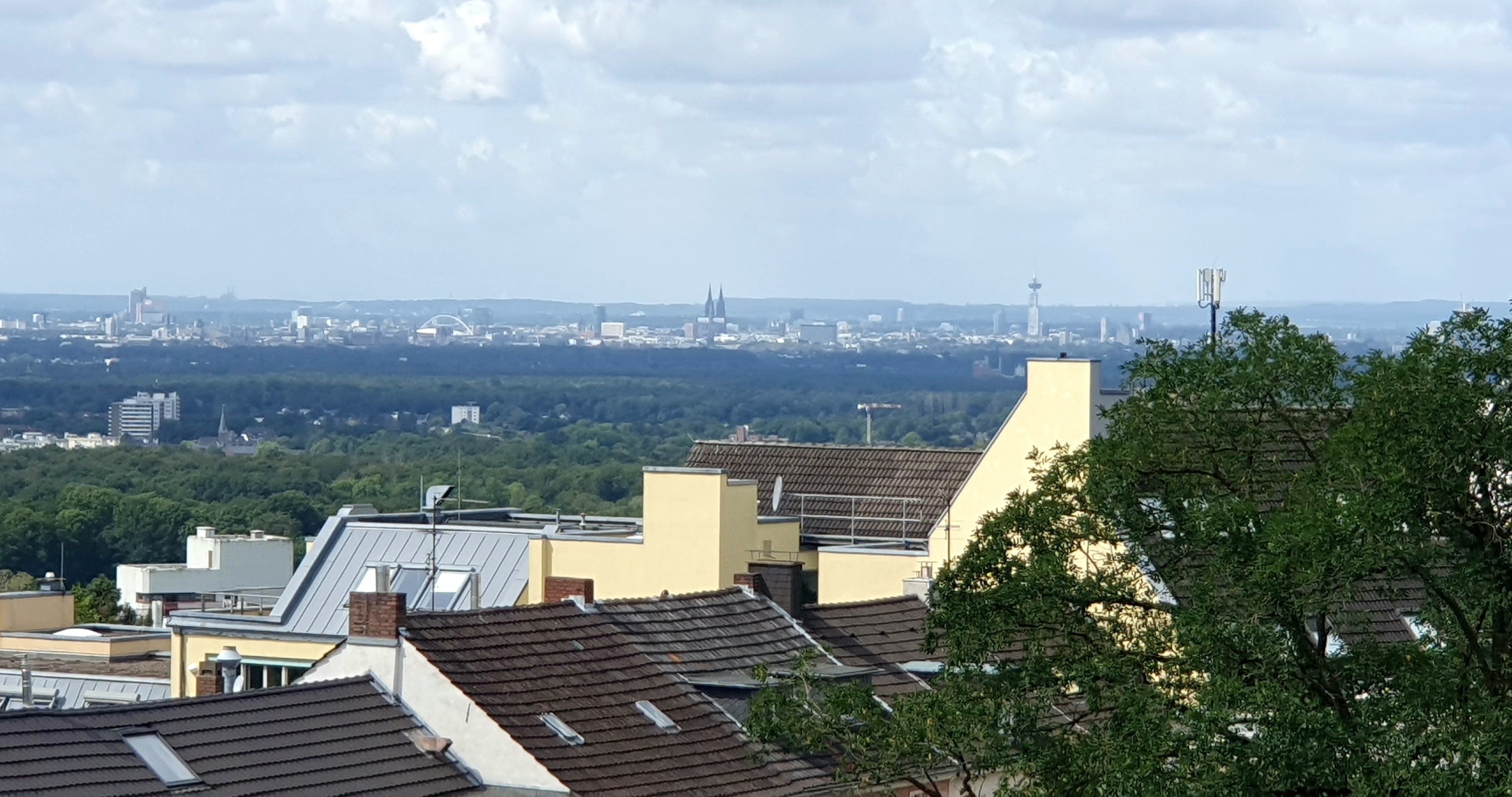 Blick auf Köln