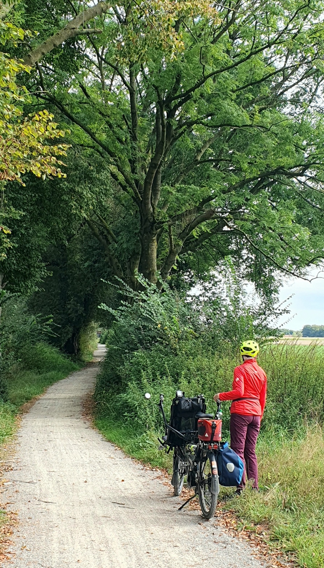Radweg an der Werse