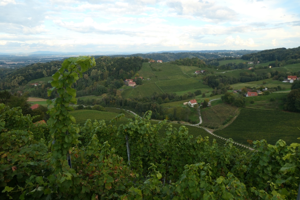 Weinberge wie zu Hause in &quot;the Länd&quot;