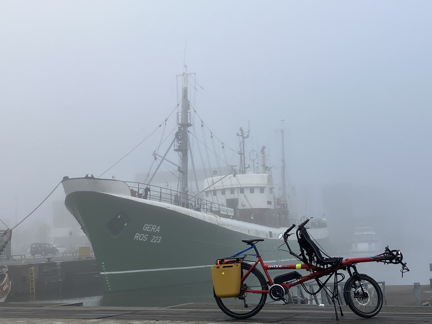 Pino im Morgennebel - Challenge Bild 54