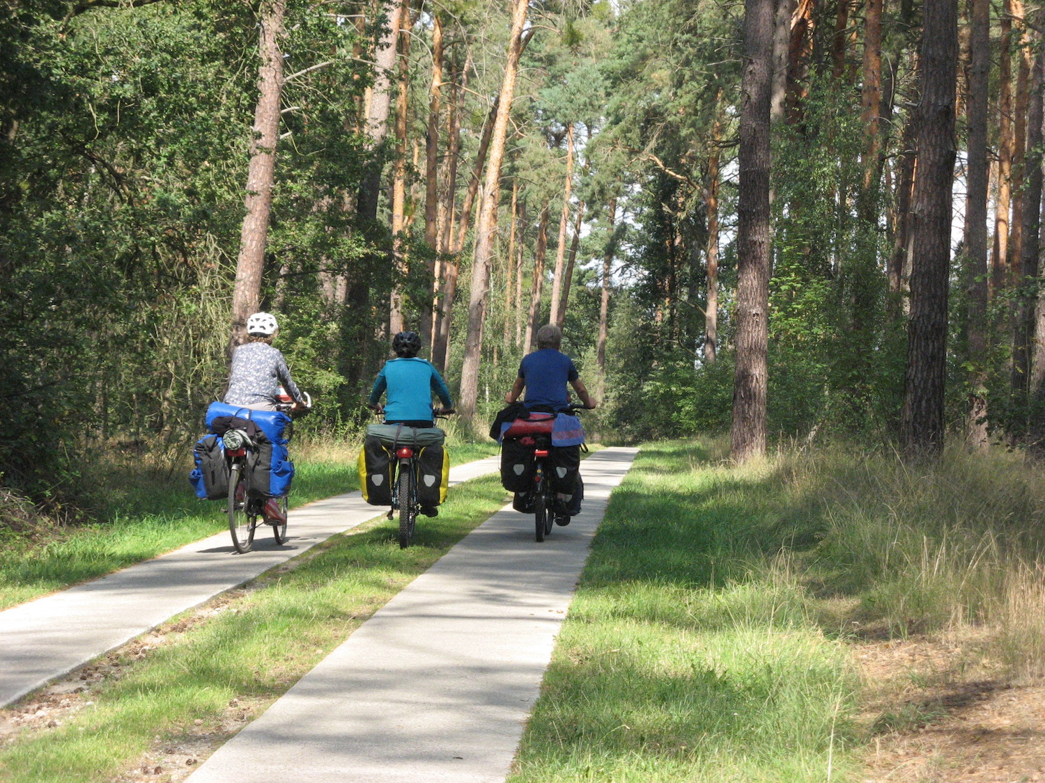 Irgendwo in der Schorfheide