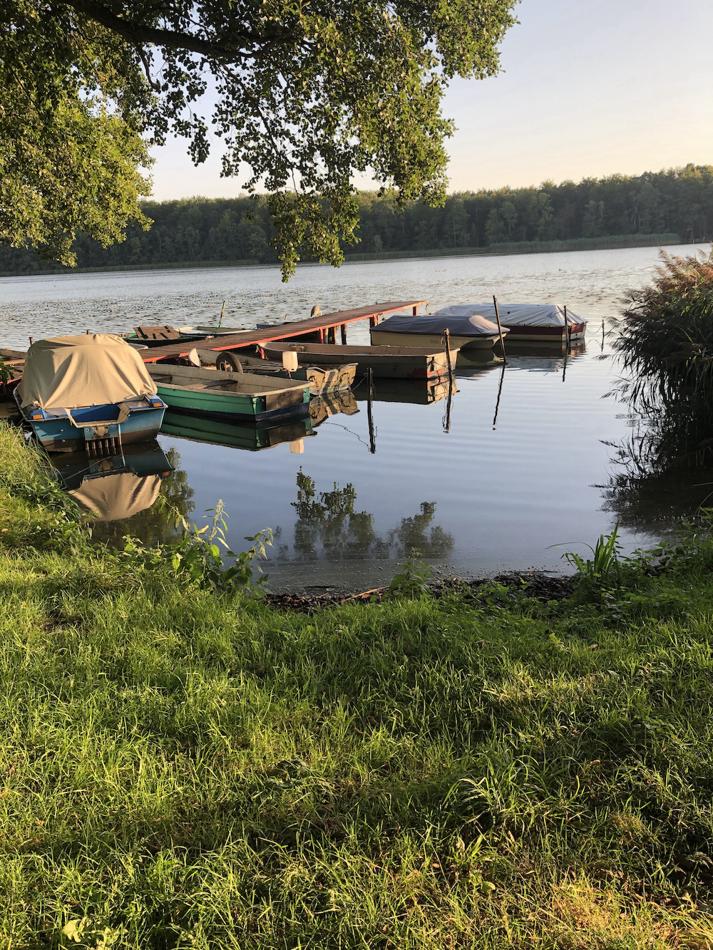 noch mehr Morgenstimmung