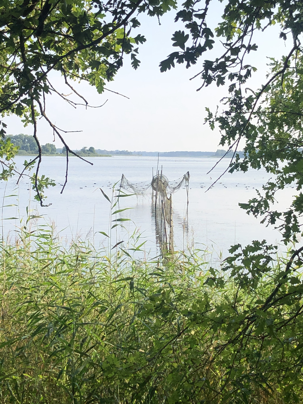 Breitlingsee bei Brandenburg