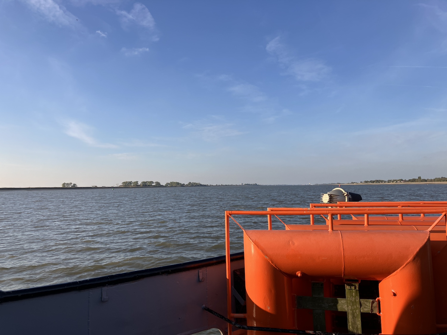 Grüße an alle orangefarbenen Pinos