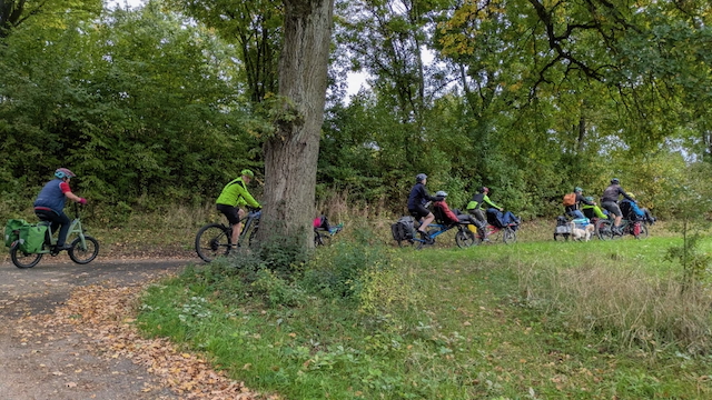 Pino 10 25 - 11.jpeg