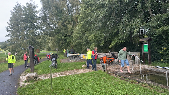 Pino 10 25 - 1 (1).jpeg