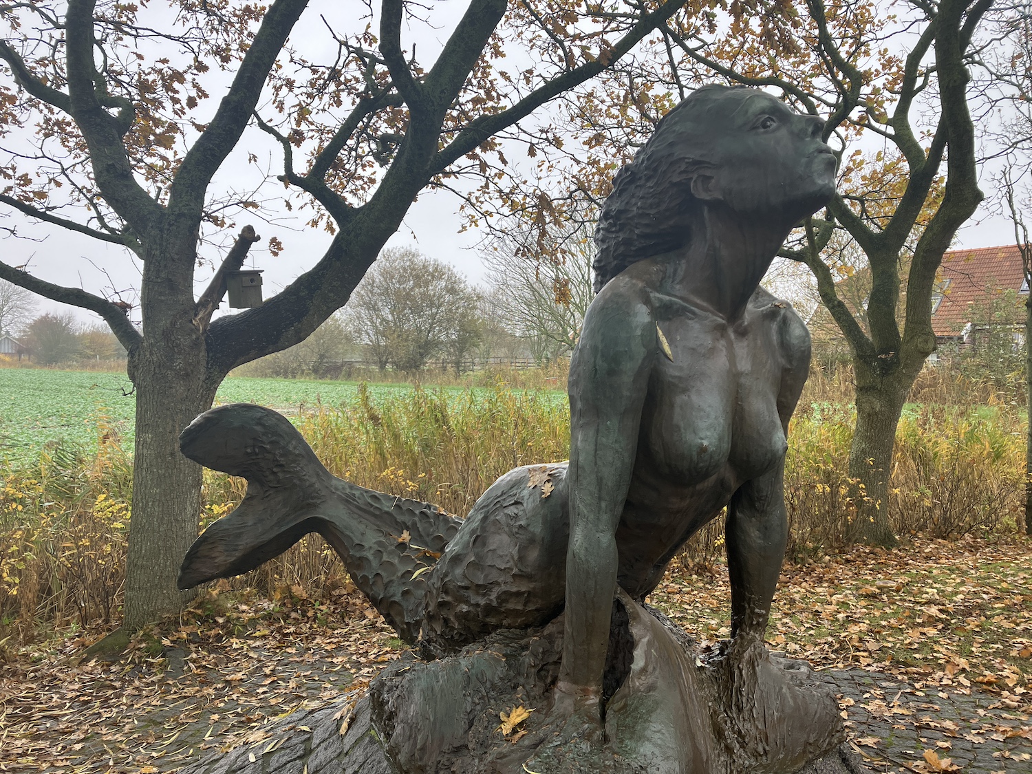 Seewiefken in Minsen