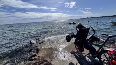 IMG_7862.jpeg