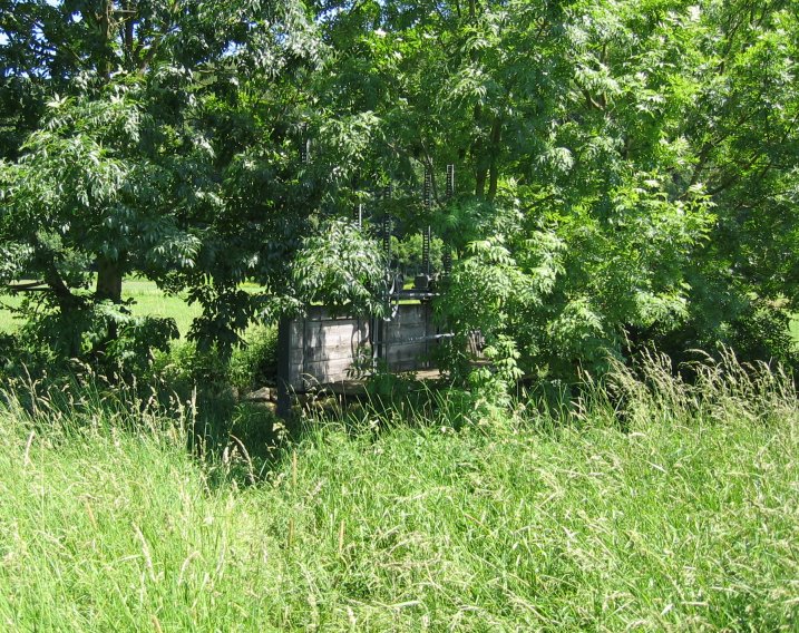 Ja, hierher hat uns der Weg geführt, als gut zu erkennender Trampelpfad in der Wiese...