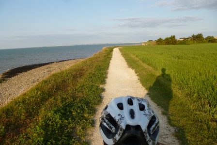 Herrliche Küstenwege (a.d. Ile de Ré)