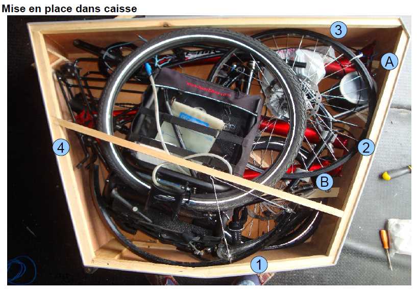 So sieht ein Pino gut verpackt aus...