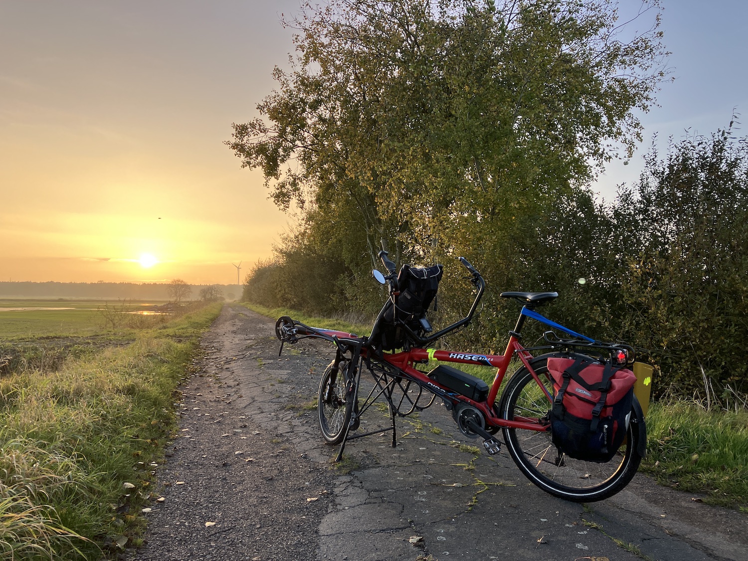 Pino auf dem Heimweg - Challenge Bild 4
