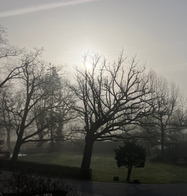 Morgennebel. Anfängerfehler: im März ohne Handschuhe losfahren ist keine gute Idee. Morgens noch empfindlich kalt.