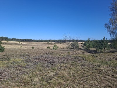 681cc283-8e31-40b4-ac0a-fb2a0654820d Kopie.JPG