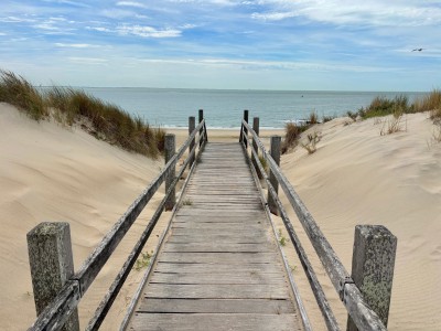 Herrliche Dünen und Strände in Zeeland