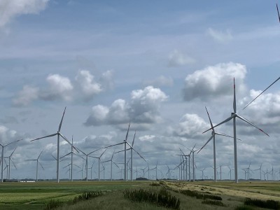 Strom für alle Pinos dieser Welt!