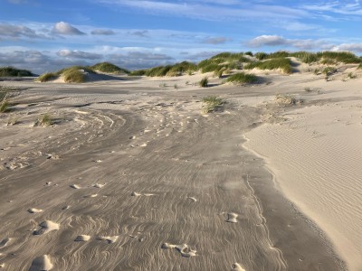 Kniepsand auf Amrum