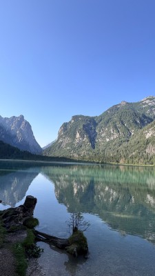 IMG_6601.jpeg