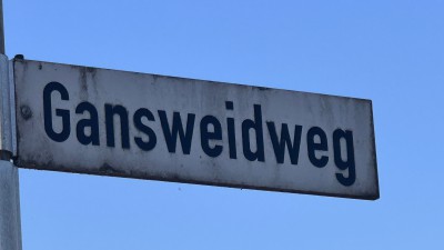 IMG_6999.jpeg