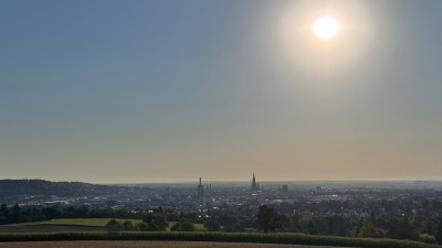 IMG_6995.jpeg