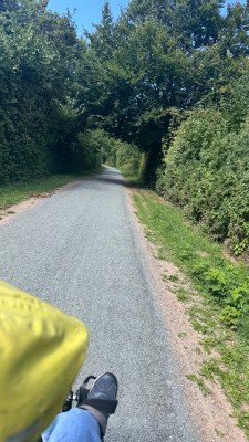 IMG_7352.jpeg