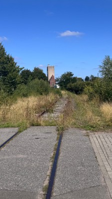 IMG_7358.jpeg
