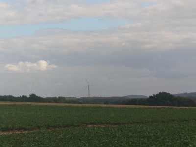20260918_134125.JPG